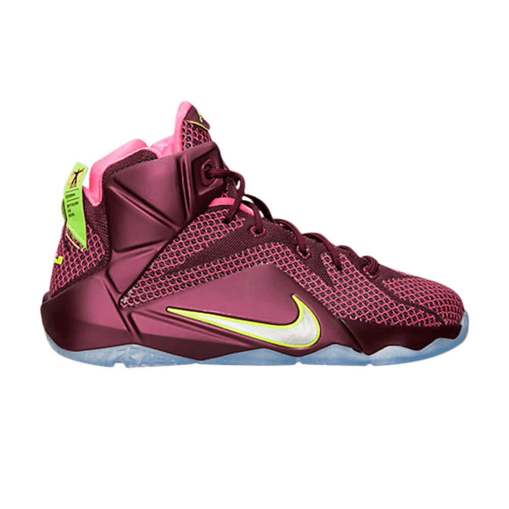 LeBron 12 GS 'Double Helix'