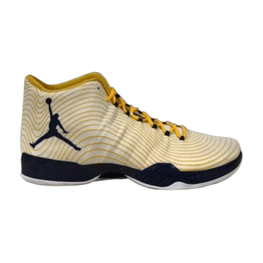 Air Jordan 29 'Michigan' PE