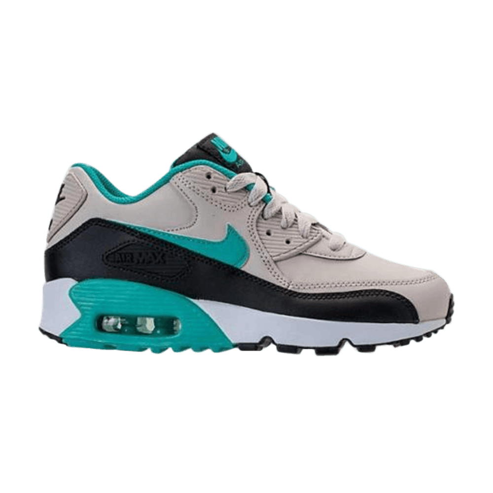 Air Max 90 LTR GS