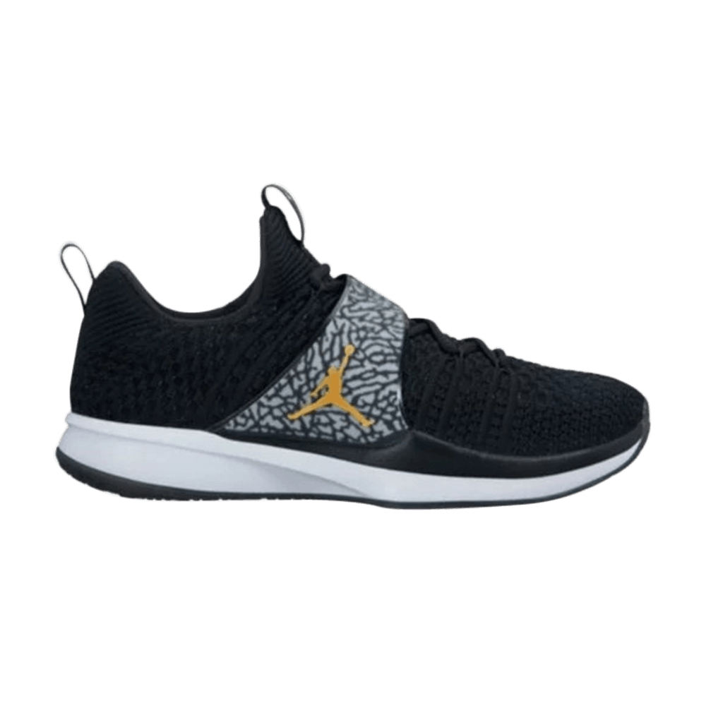 Jordan Trainer 2 Flyknit 'Black Metallic Gold'