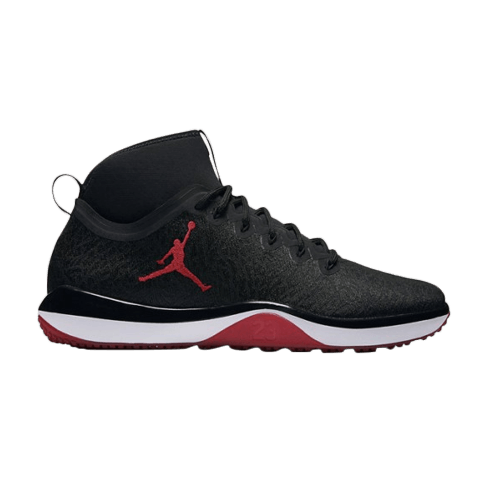 Jordan Trainer 1