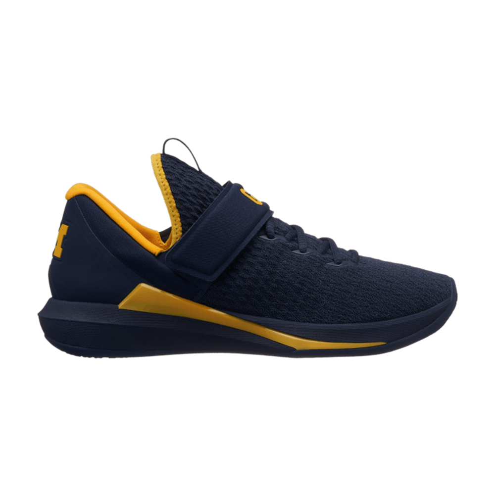 Jordan Trainer 3 'Michigan Wolverines'