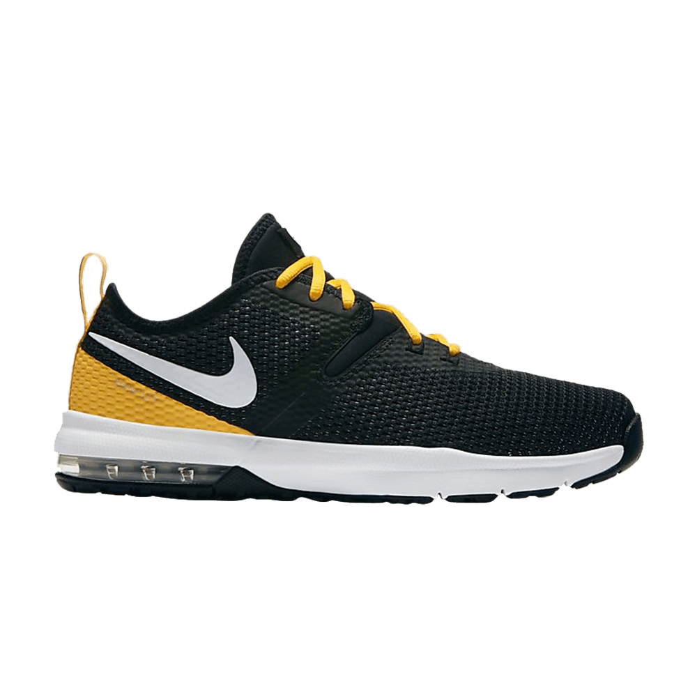 Air Max Typha 2 'NFL Pittsburgh'