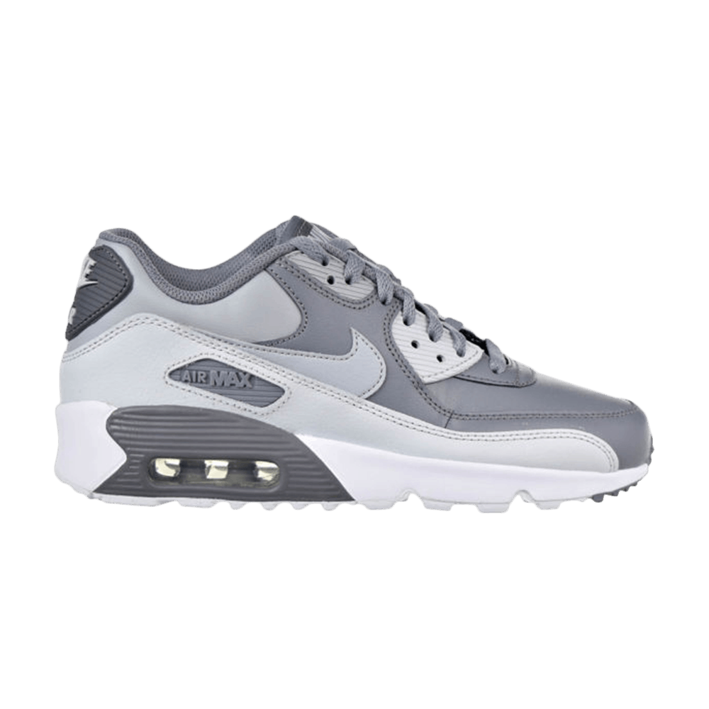 Air Max 90 LTR GS 'Cool Grey'