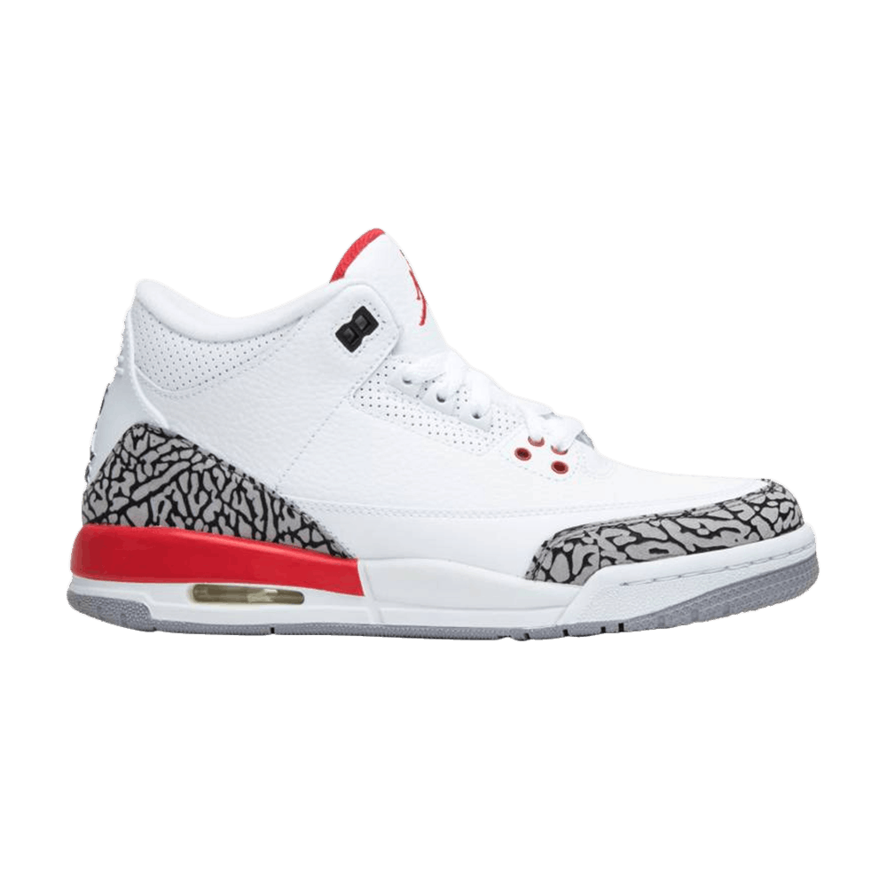 Sneaker Politics x Air Jordan 3 Retro GS 'Hall of Fame'