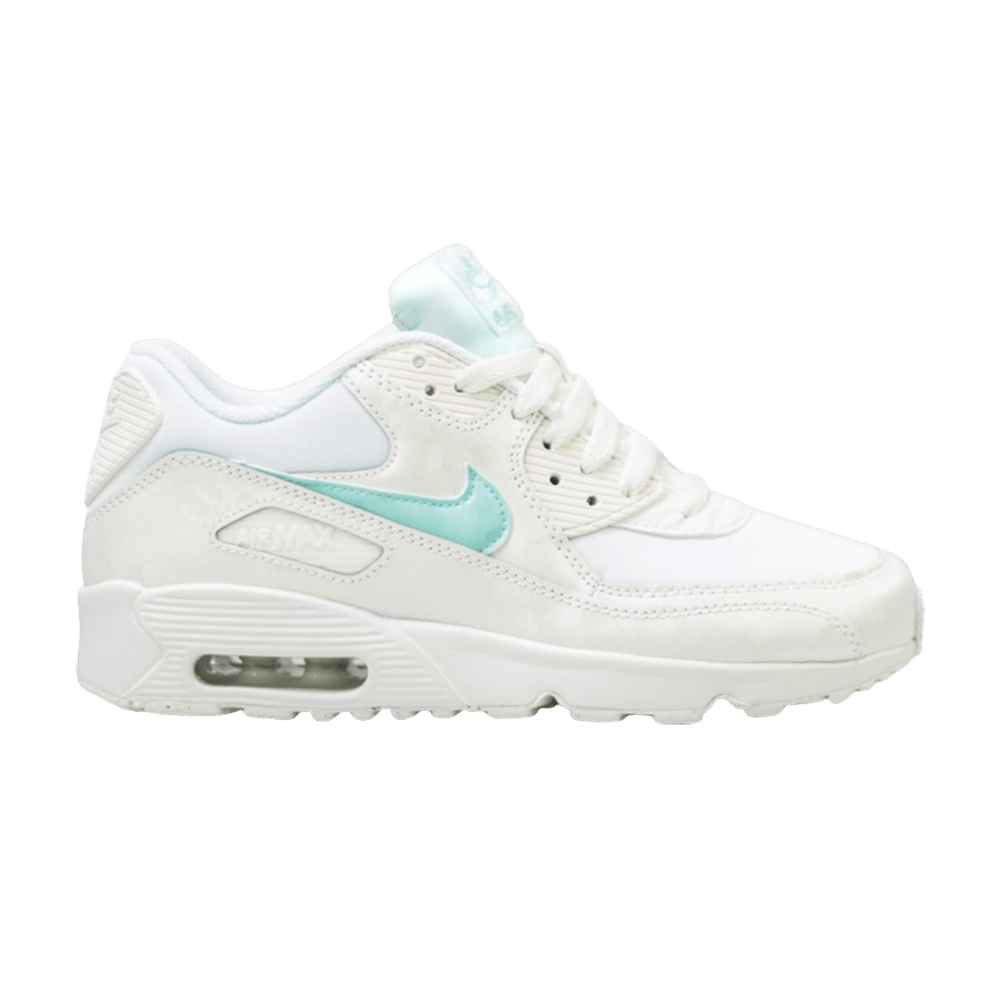 Air Max 90 Mesh GS 'Igloo'