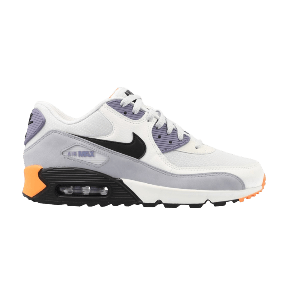 Air Max 90 Essential