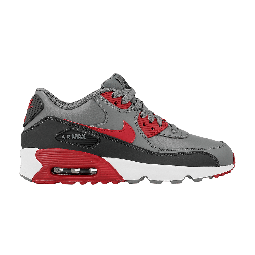 Air Max 90 LTR GS 'Cool Grey'