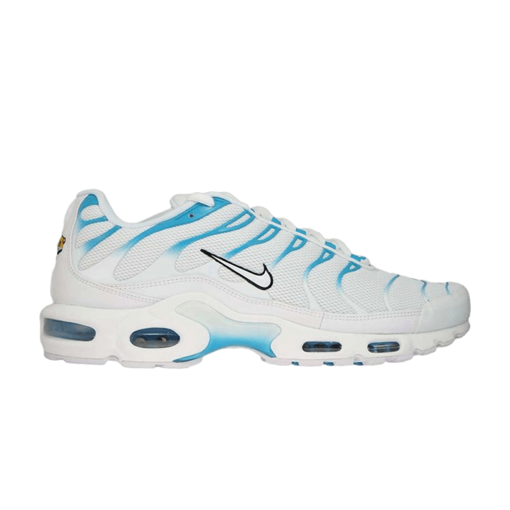 Air Max Plus 'Blue Fury'