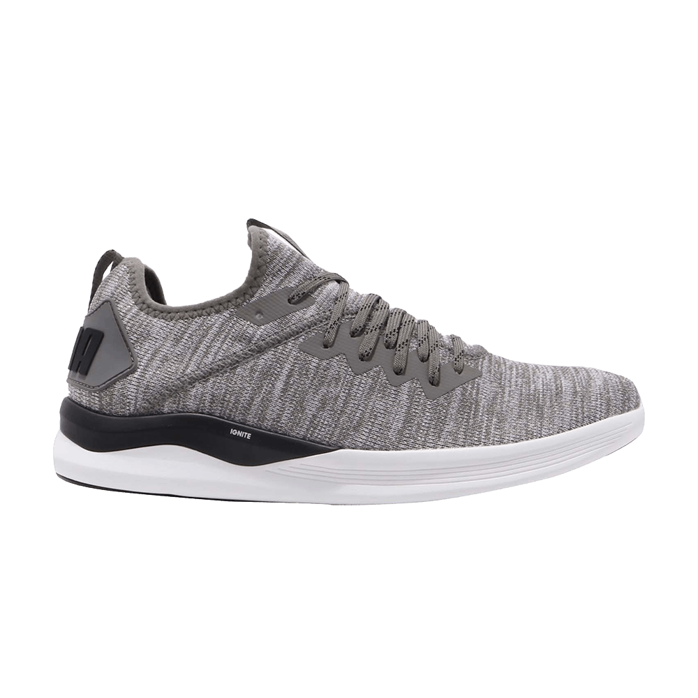 Ignite Flash EvoKnit 'Steel Gray'