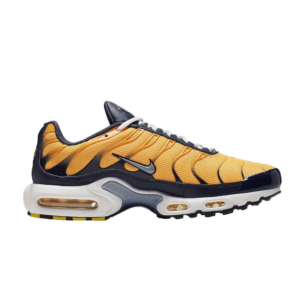 Air Max Plus