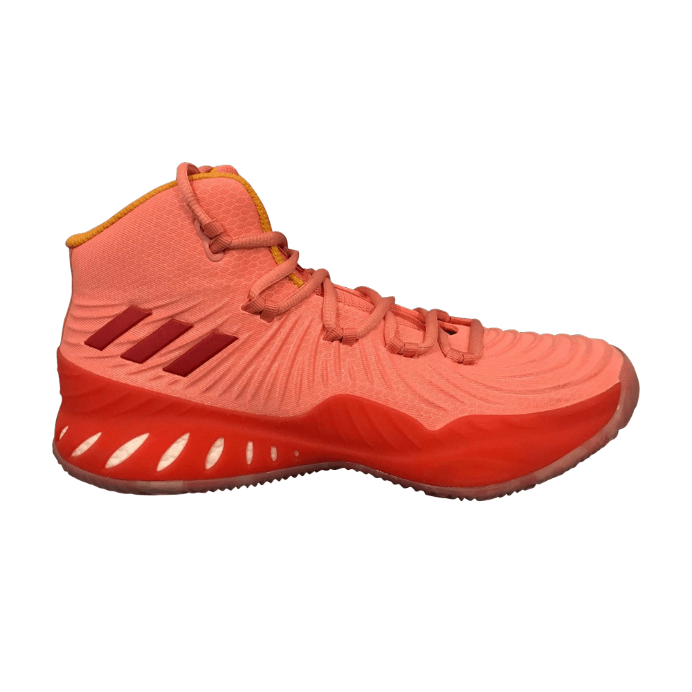 Crazy Explosive 2017 'Tactile Rose'