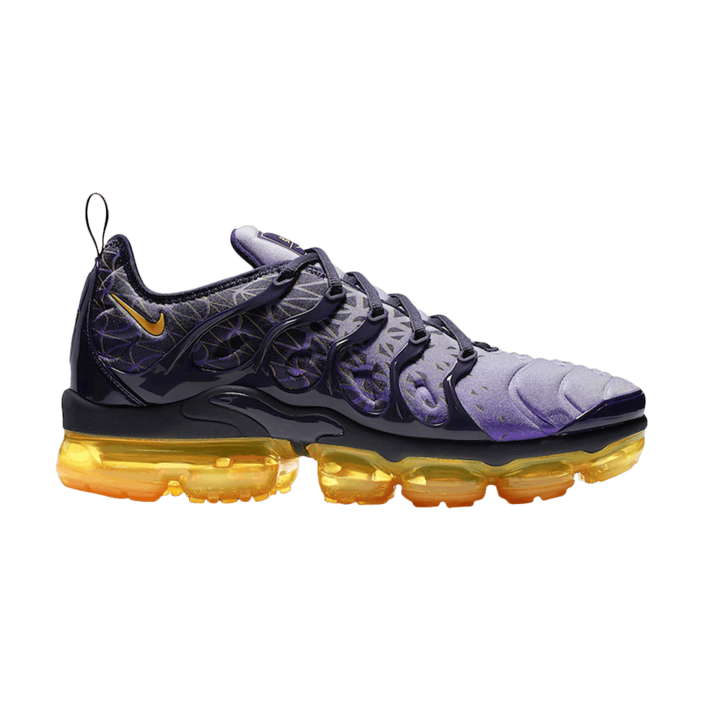 Air VaporMax Plus 'Indigo Storm'