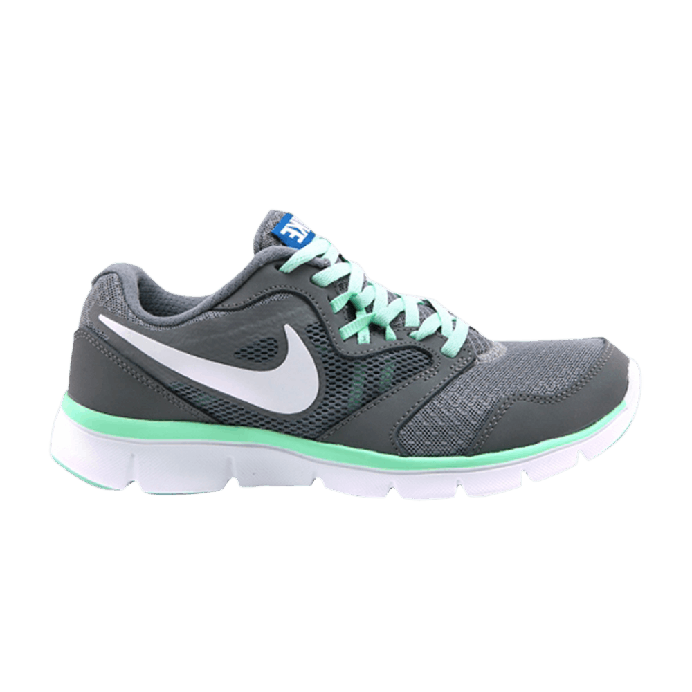 Wmns Flex Experience Run 3 'Grey Mint'