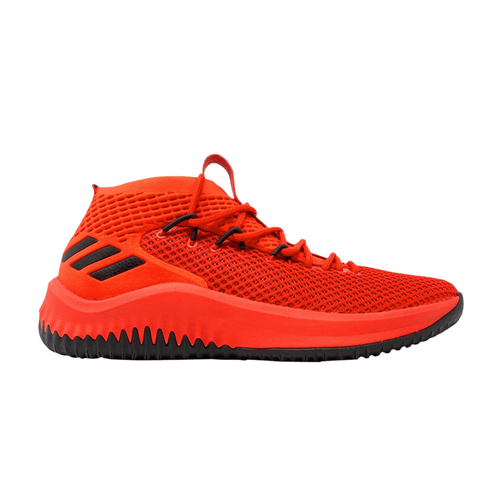 Dame 4 'Scarlet'