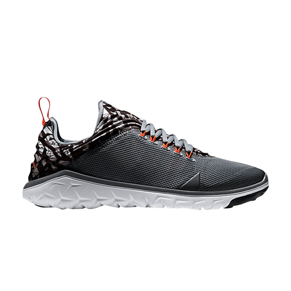 Jordan Flight Flex Trainer 'Cool Grey Pure Platinum'