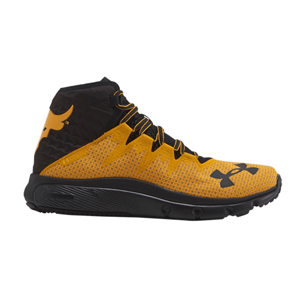 Buy Under Armour Project Rock Delta 'Steel' - 3021055 101 | GOAT