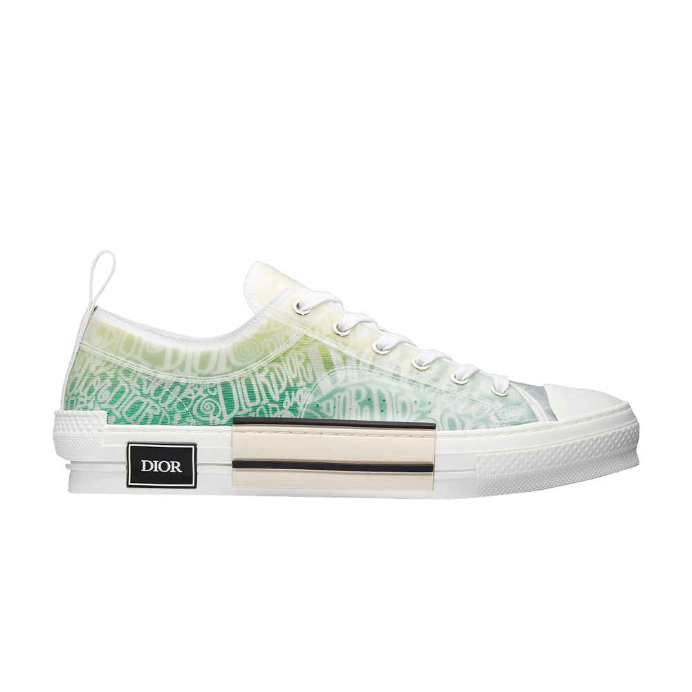Dior B23 Low 'Dior and Shawn Print'