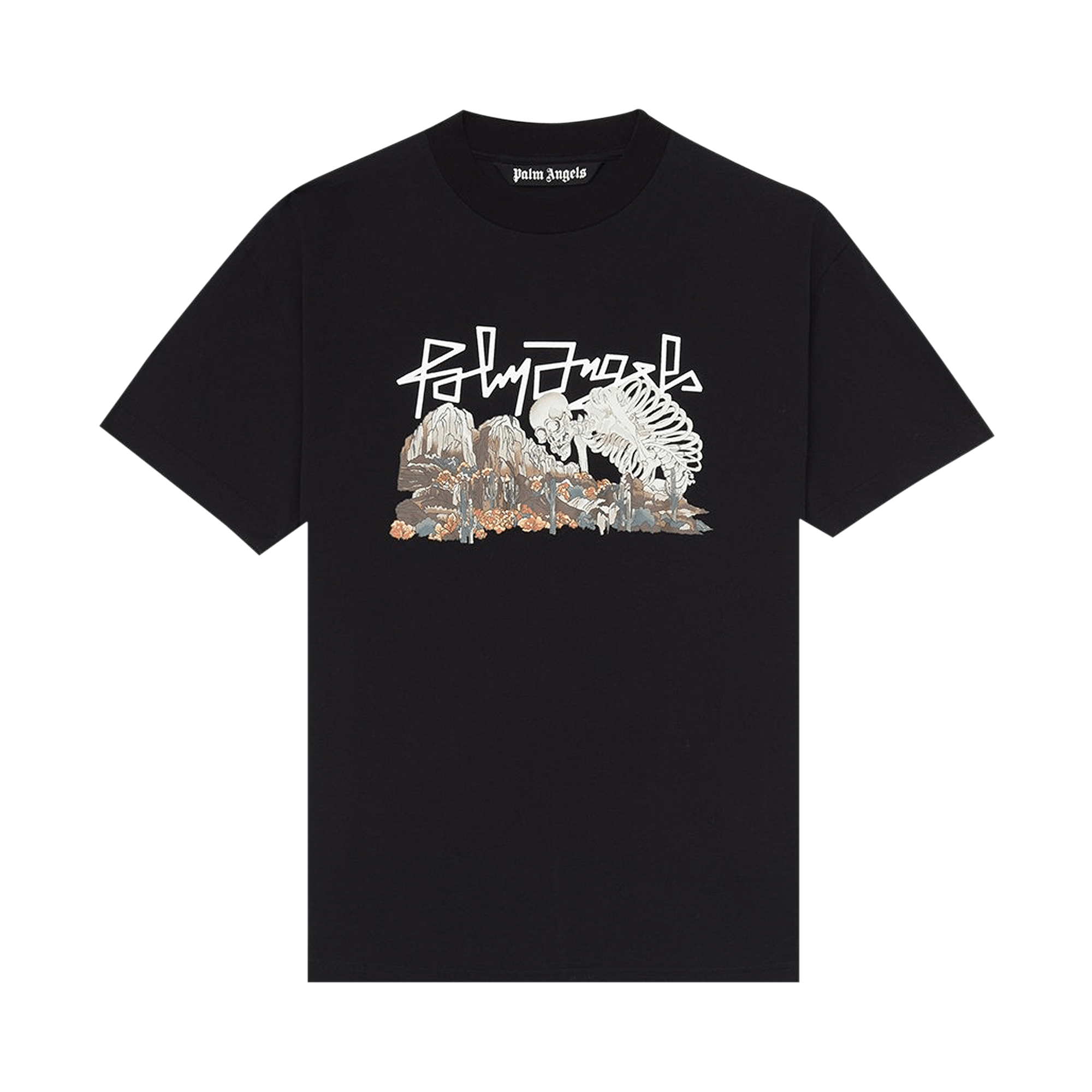 Palm Angels Desert Skull Tee 'Black/Multi'