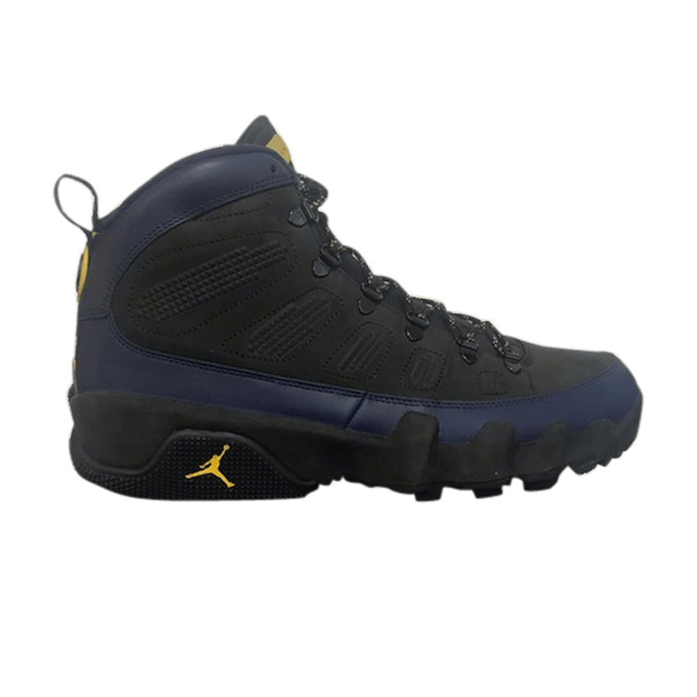 Air Jordan 9 Retro Boot 'Michigan' PE