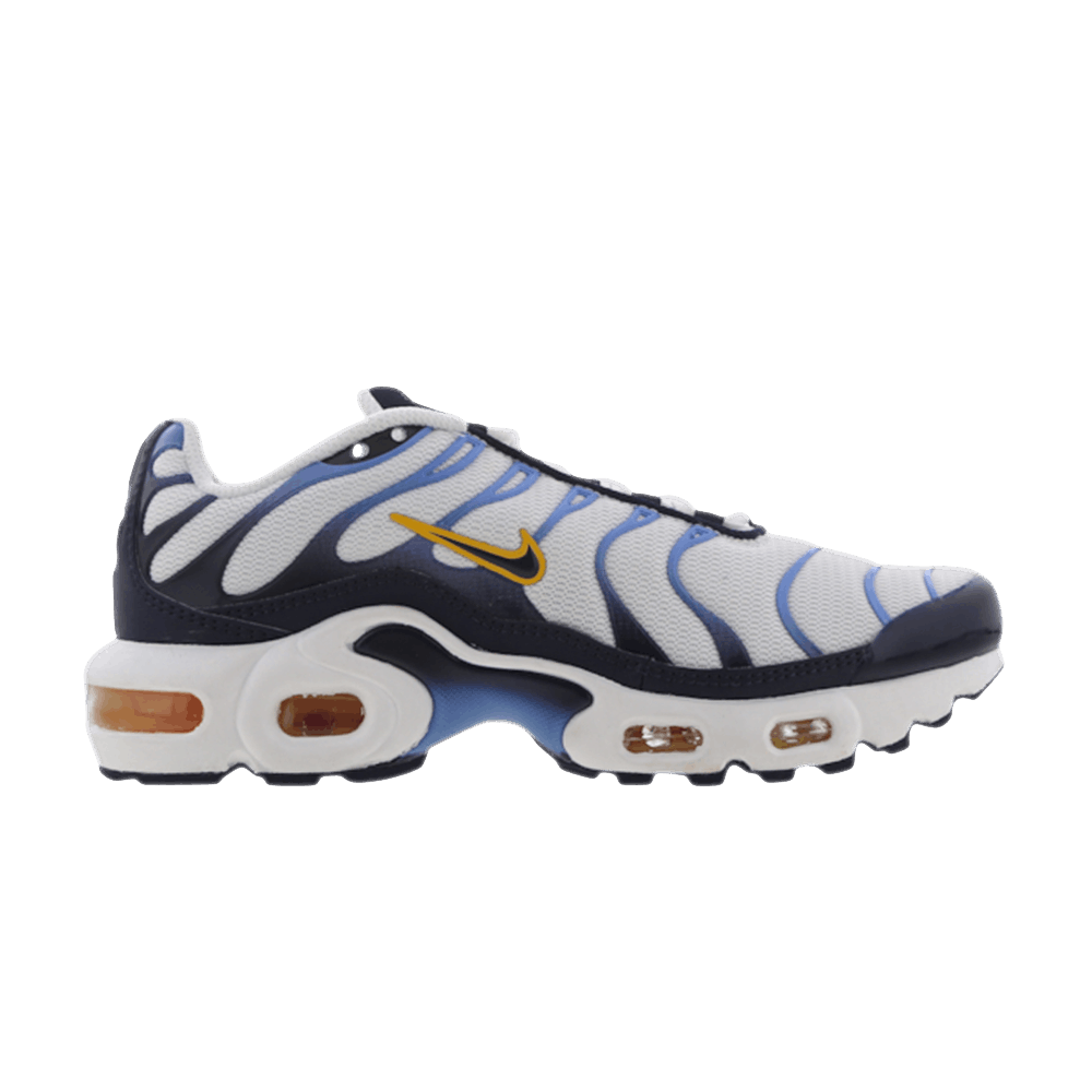 Nike Air Max Plus GS 'White Midnight Navy'