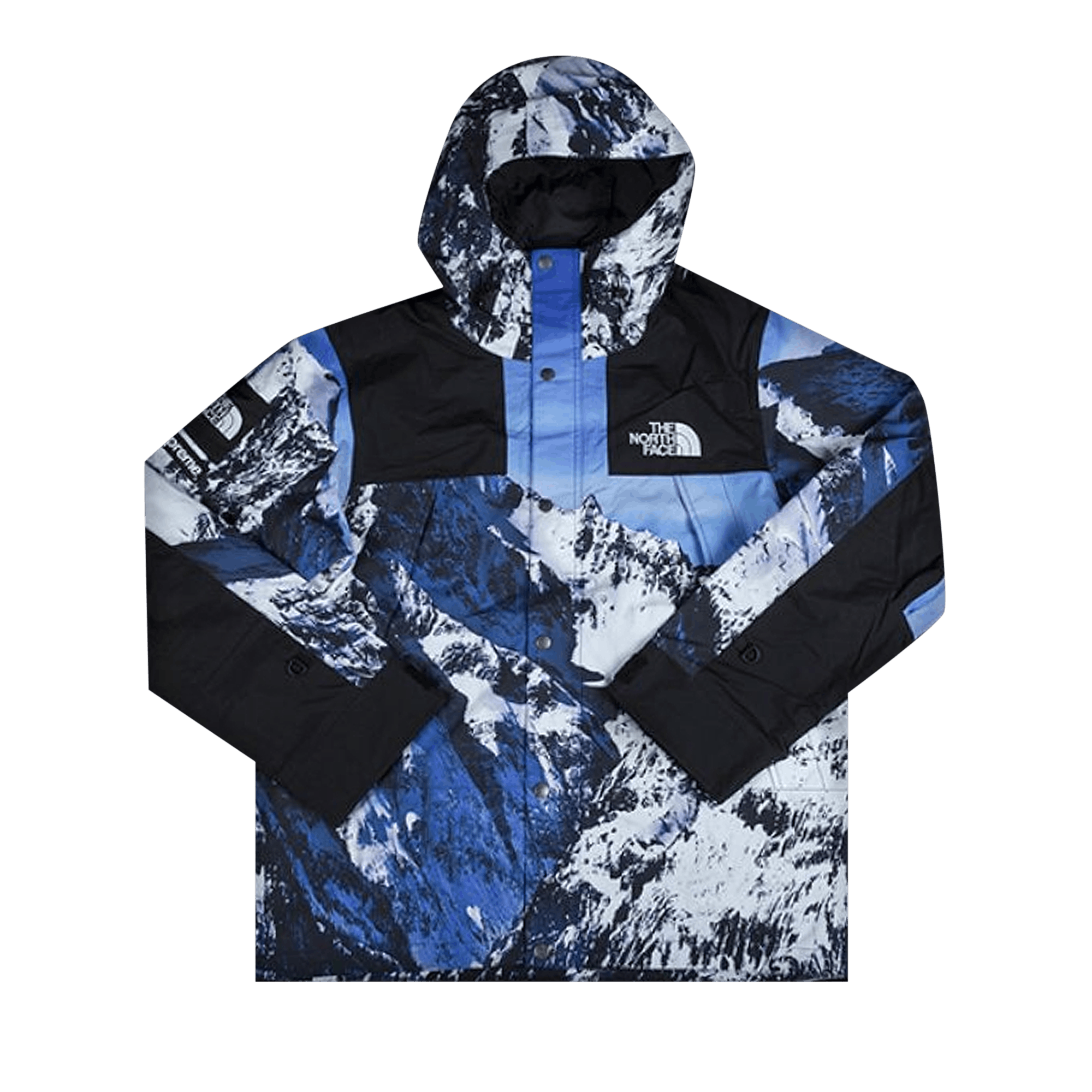 SUPREME SUPREME X THE NORTH FACE MOUNTAIN PARKA 'MOUNTAIN PRINT'
