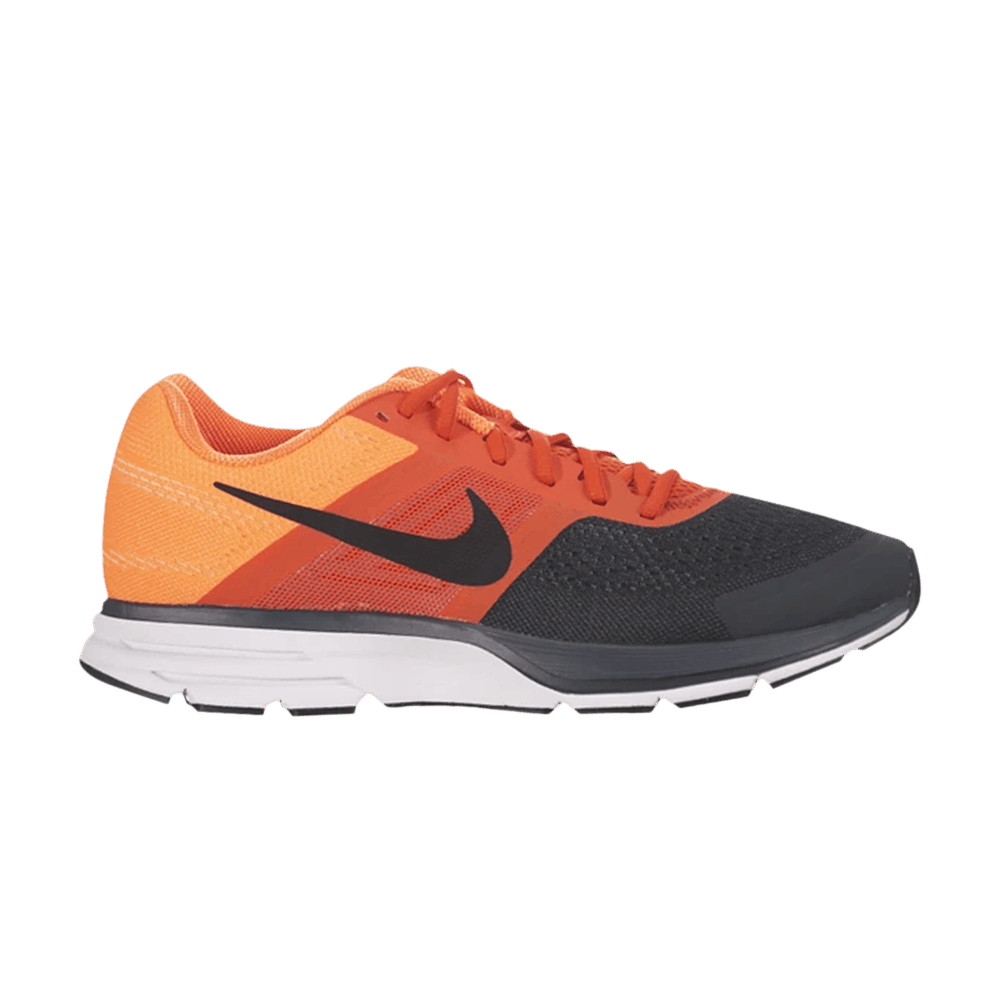 nike pegasus 30 oregon project