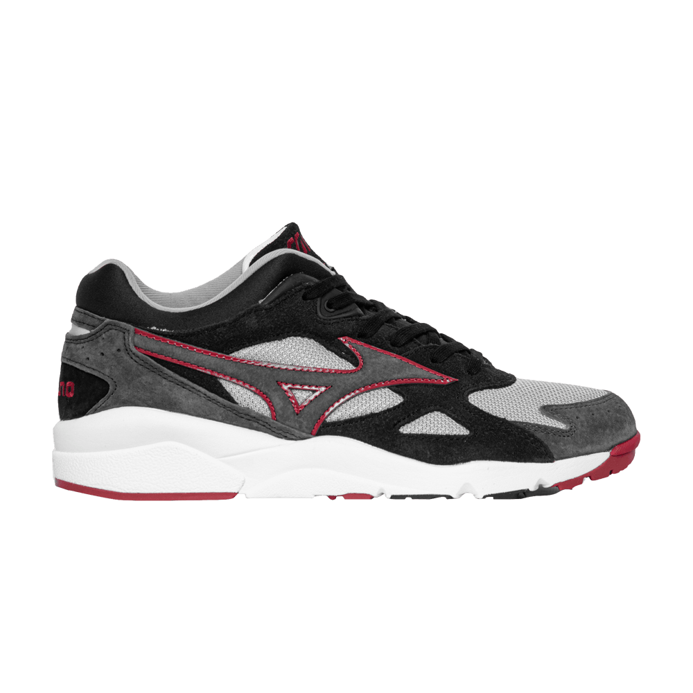 Buy Mizuno Wave Rider Beta GORE-TEX 'Quiet Shade Vulcan