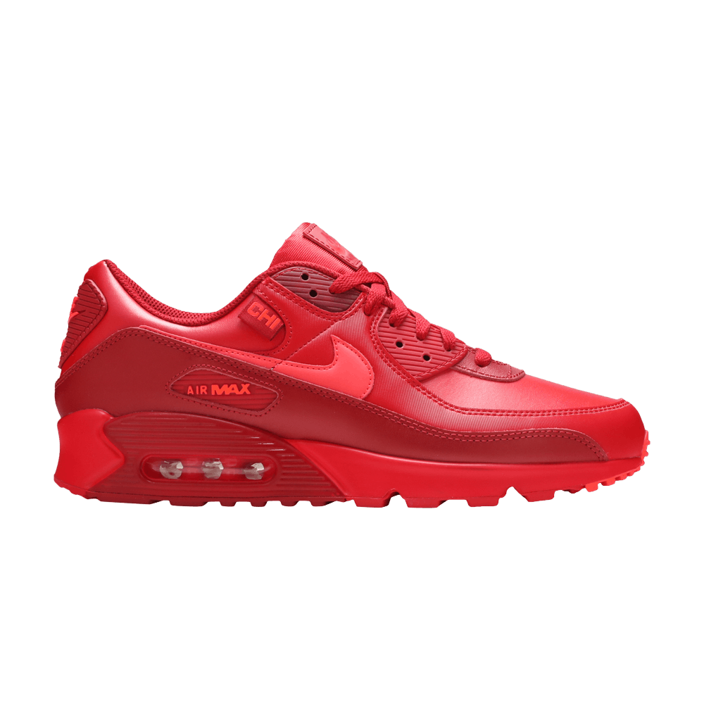 Nike Air Max 90 City Special Chicago