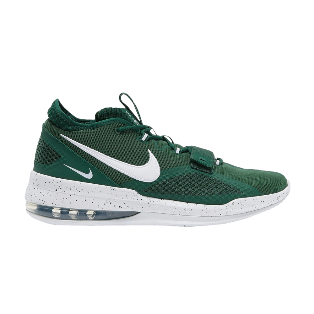 Nike Air Force Max 180 Low TB Pro 'Gorge Green'