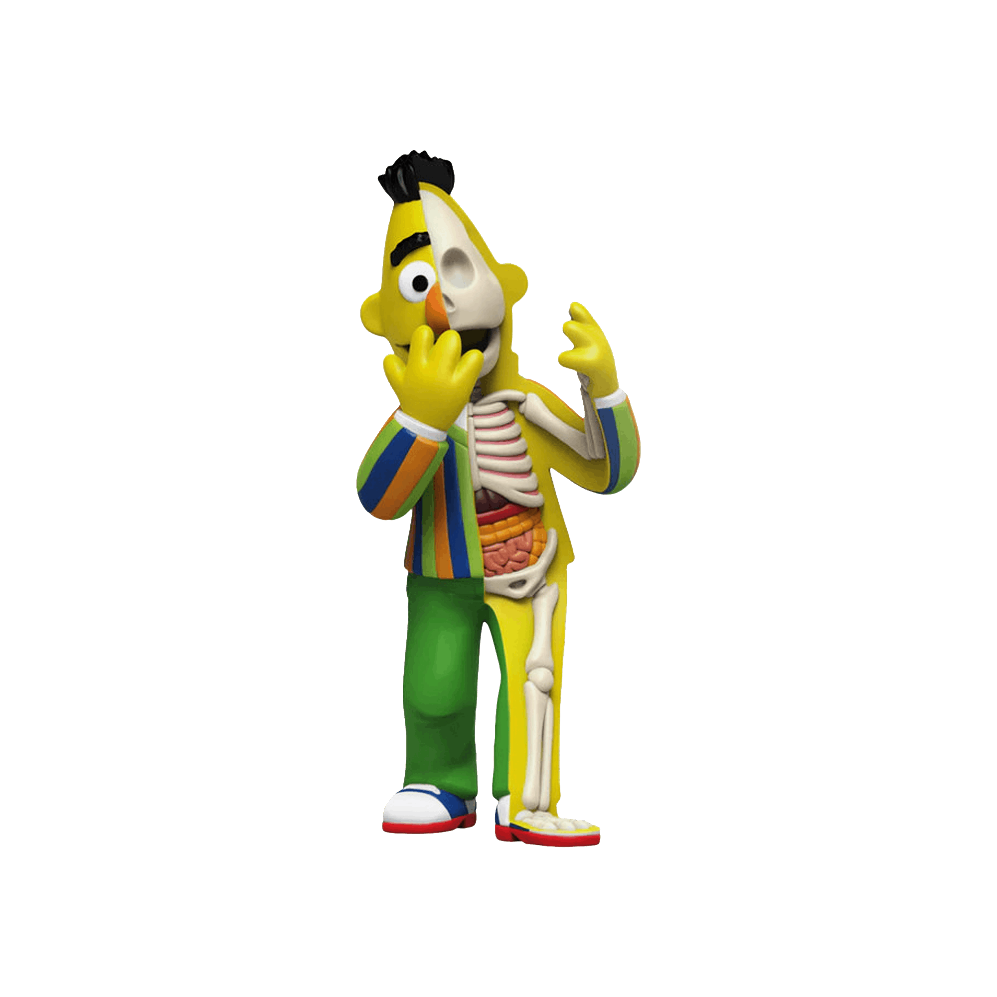 Sell Mighty Jaxx XXRAY Dissected Bert Vinyl Figure by Jason Freeny 'Multicolor' on alias