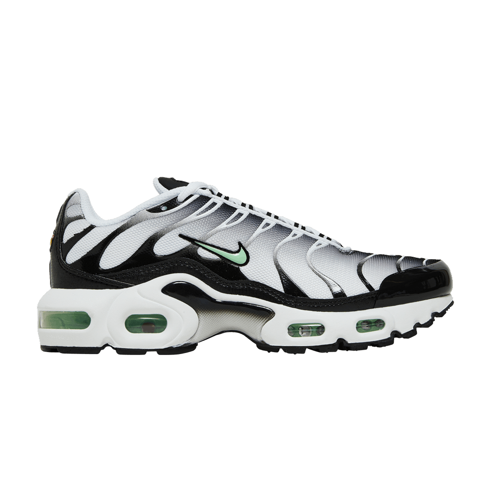 Nike Air Max Plus GS 'White Reflect Silver Fresh Mint'
