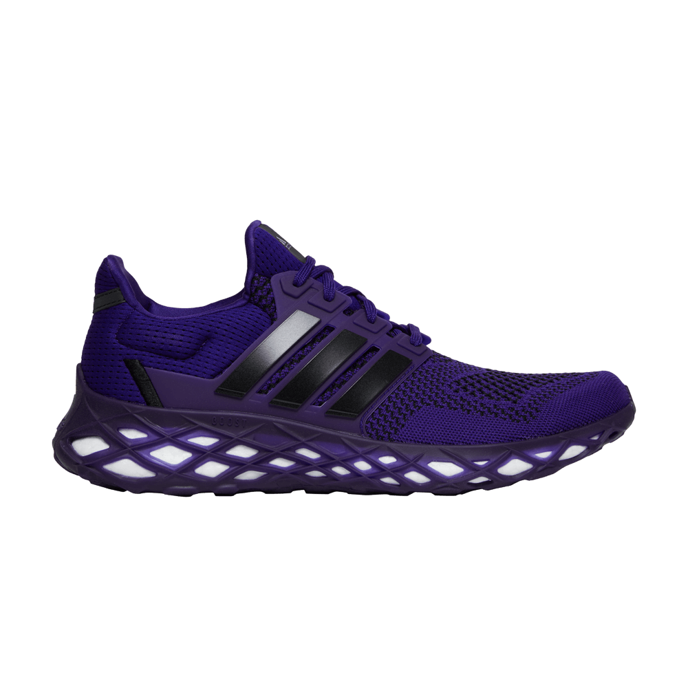 Adidas Ultraboost Web DNA 'Team College Purple'