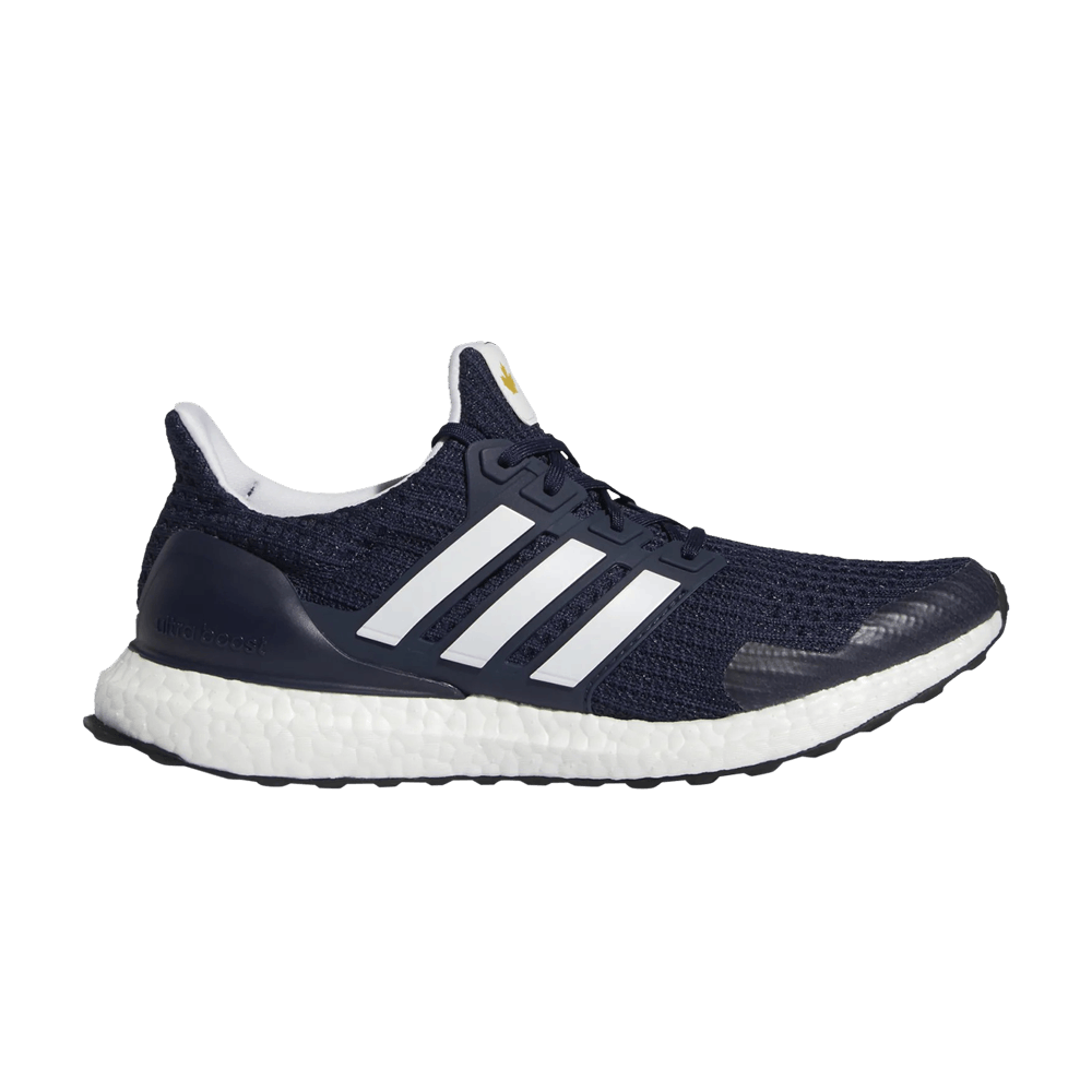 Adidas UltraBoost DNA 'Terry Fox - Marathon Of Hope'