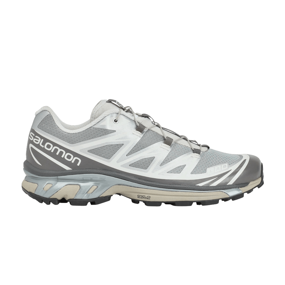 Dover Street Market x Salomon XT-6 'Alloy Magnet'