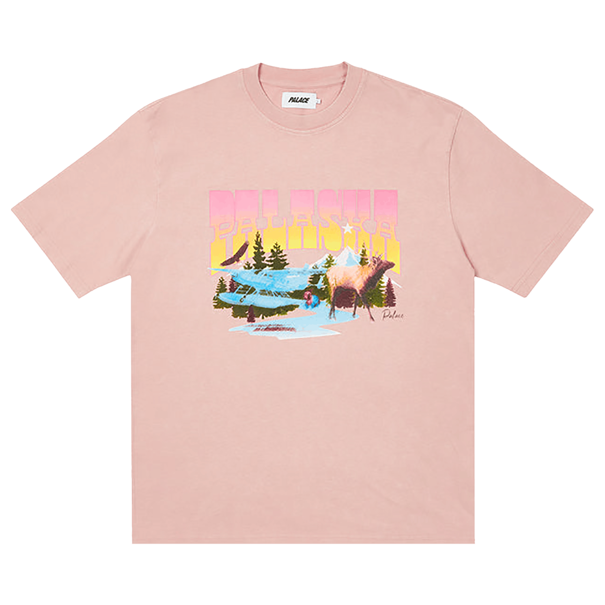 Palace Palaska Dye T-Shirt 'Pink'