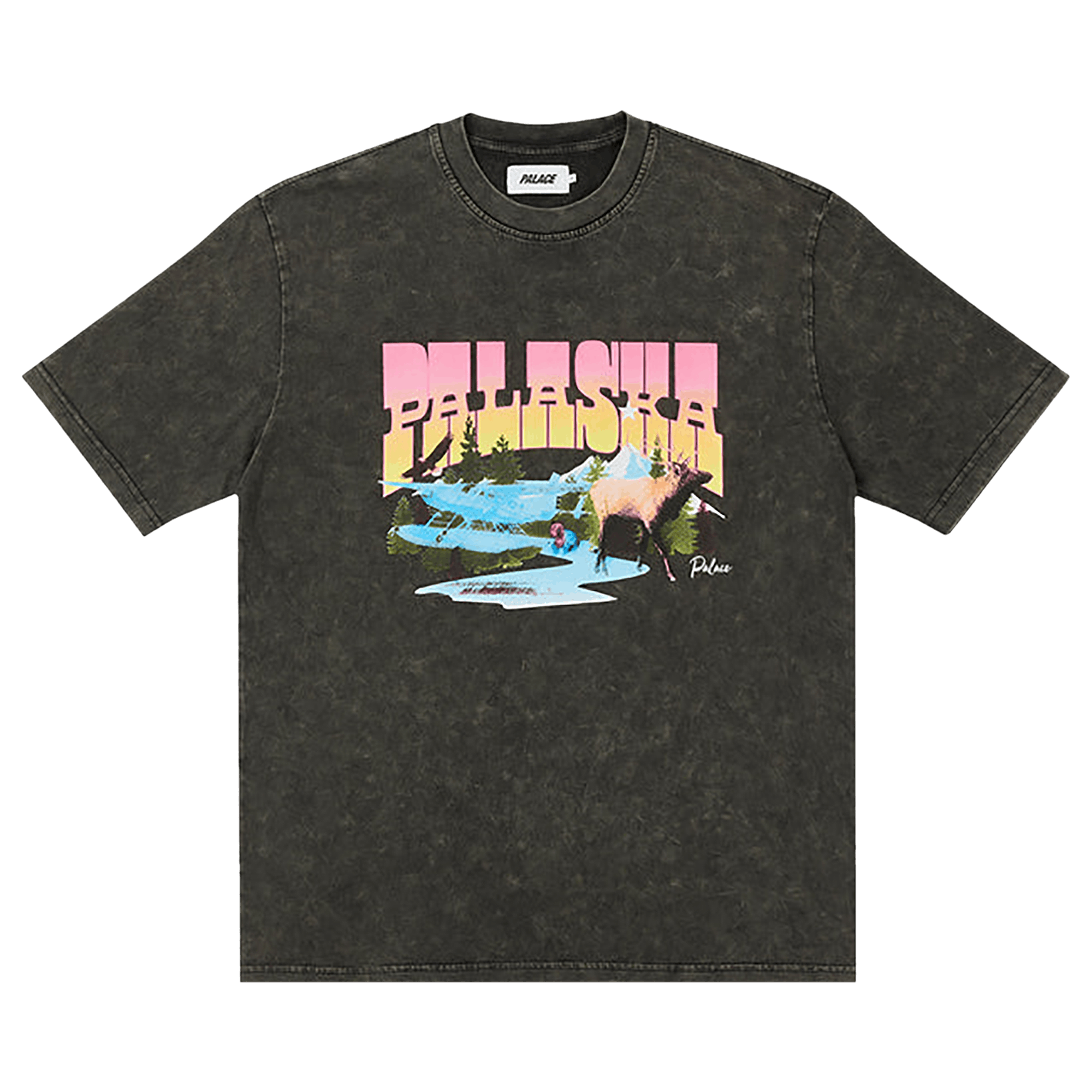 Palace Palaska Dye T-Shirt 'Black'