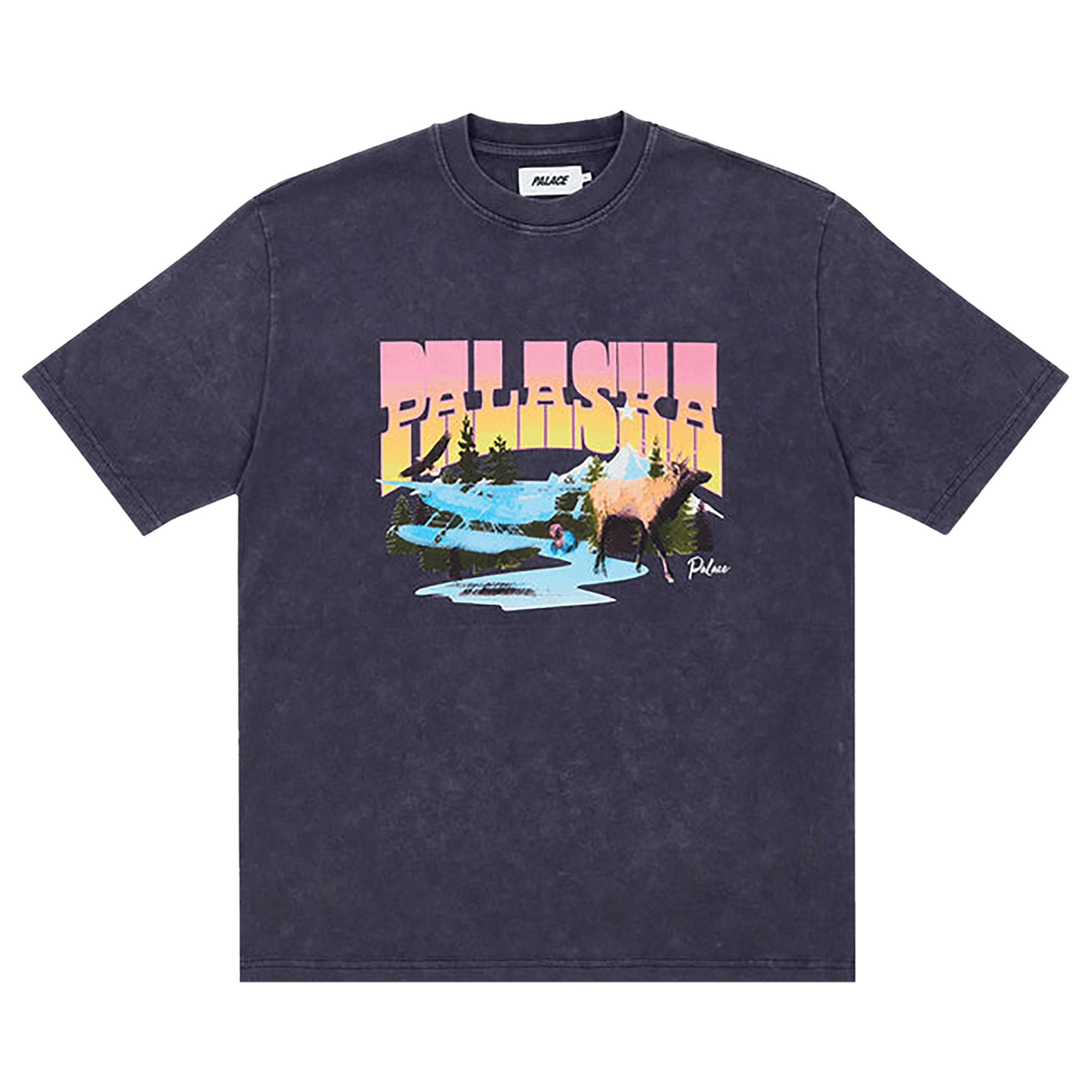Palace Palaska Dye T-Shirt 'Purple'