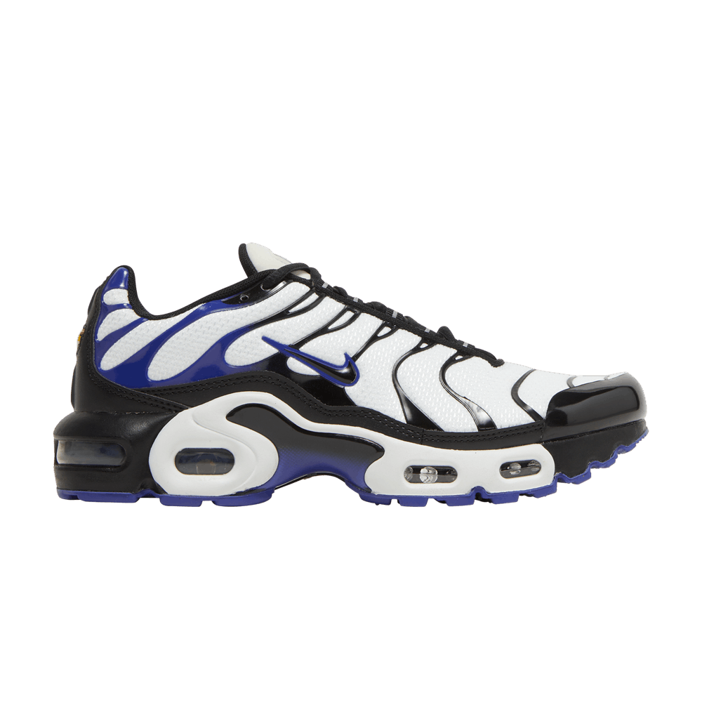 Nike Air Max Plus GS 'Persian Violet'