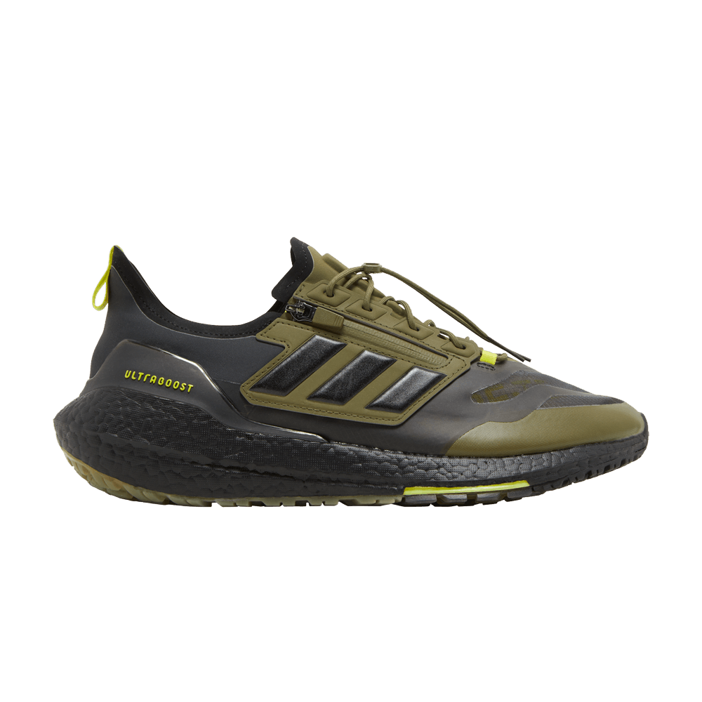 adidas UltraBoost 21 GTX 'Focus Olive'