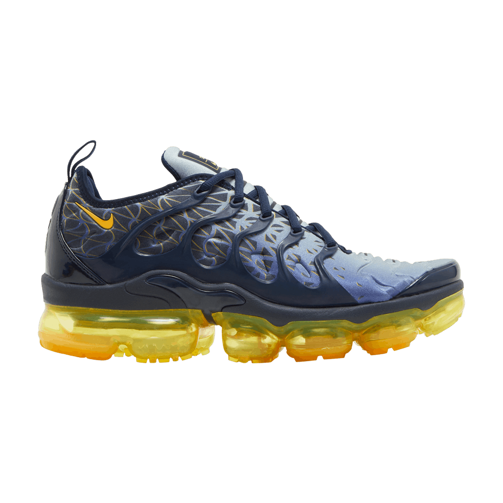 Nike Air VaporMax Plus 'Indigo Storm'