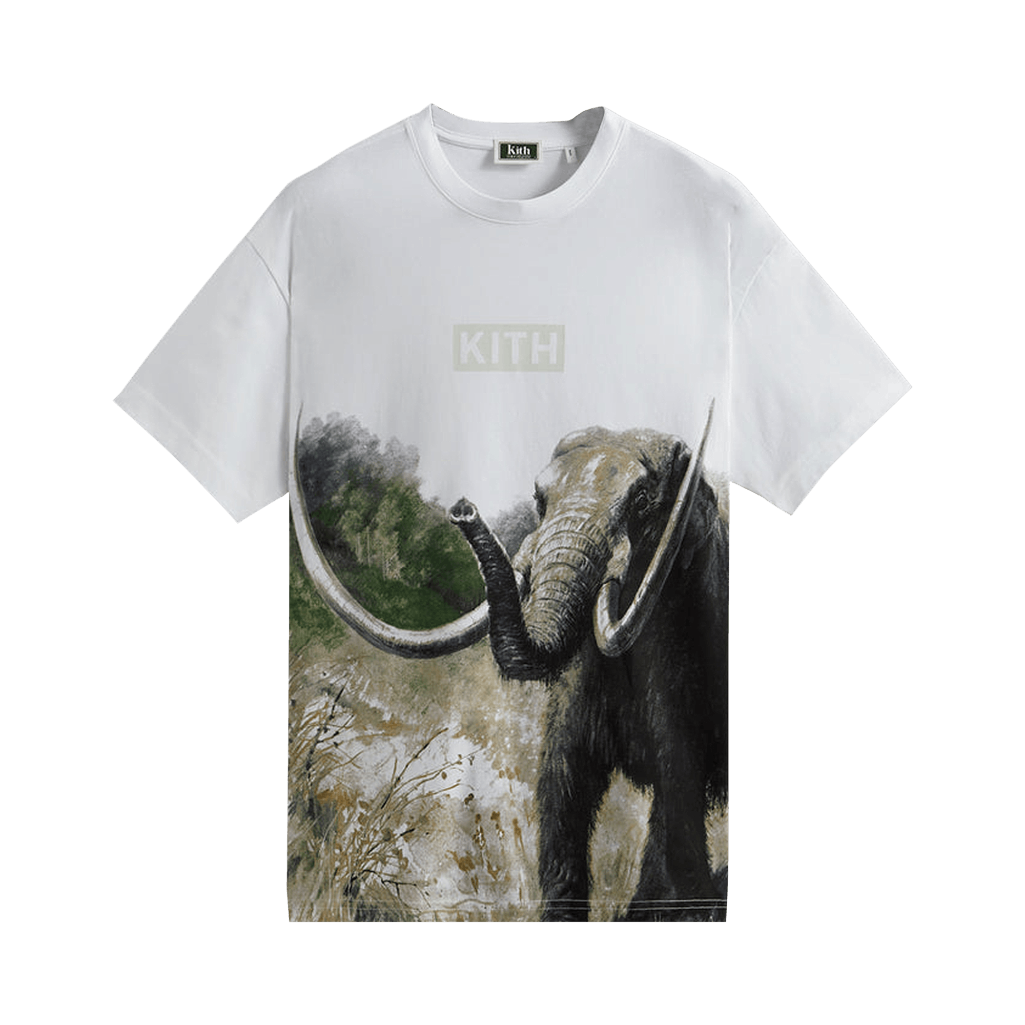 Kith For AMNH Late Mammals Vintage Tee 'White'