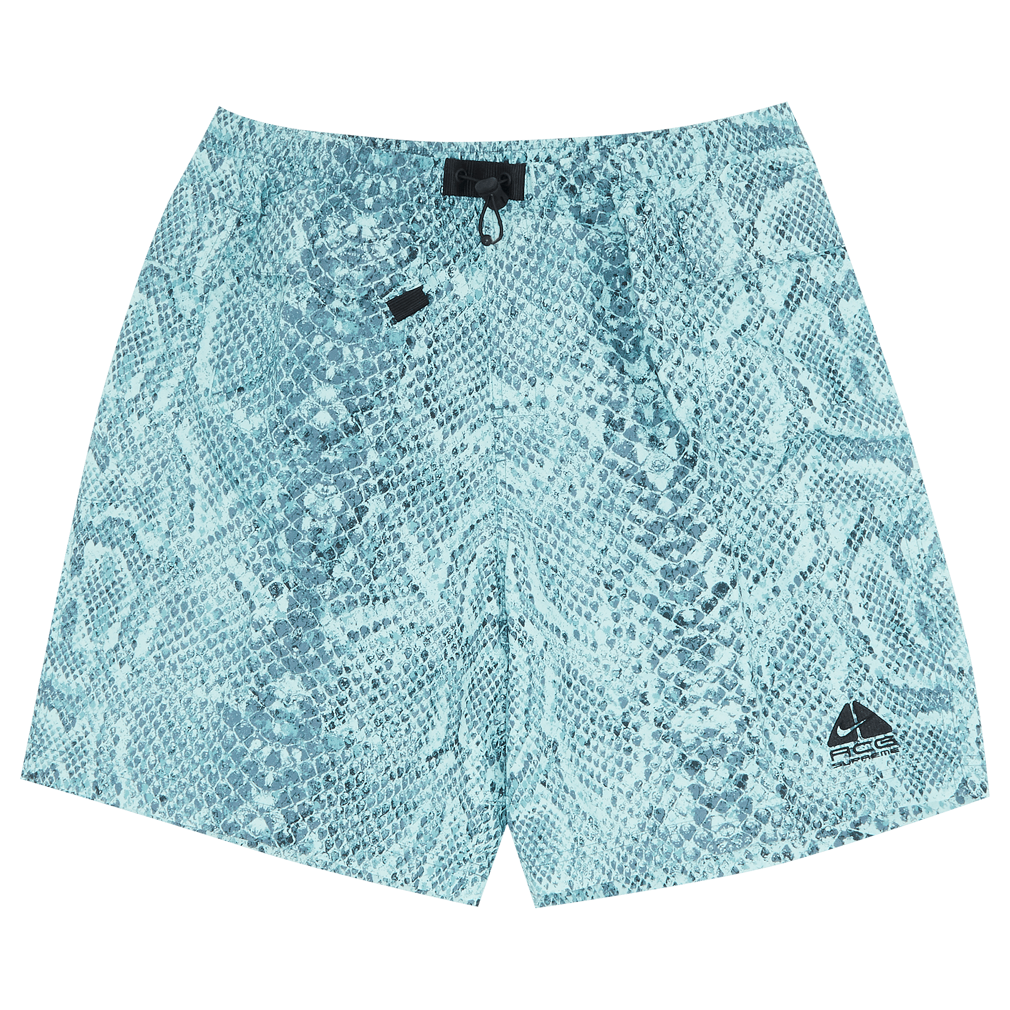 Pre-owned Supreme X Nike Acg Nylon Trail Short 'mint Snakeskin' In Blue