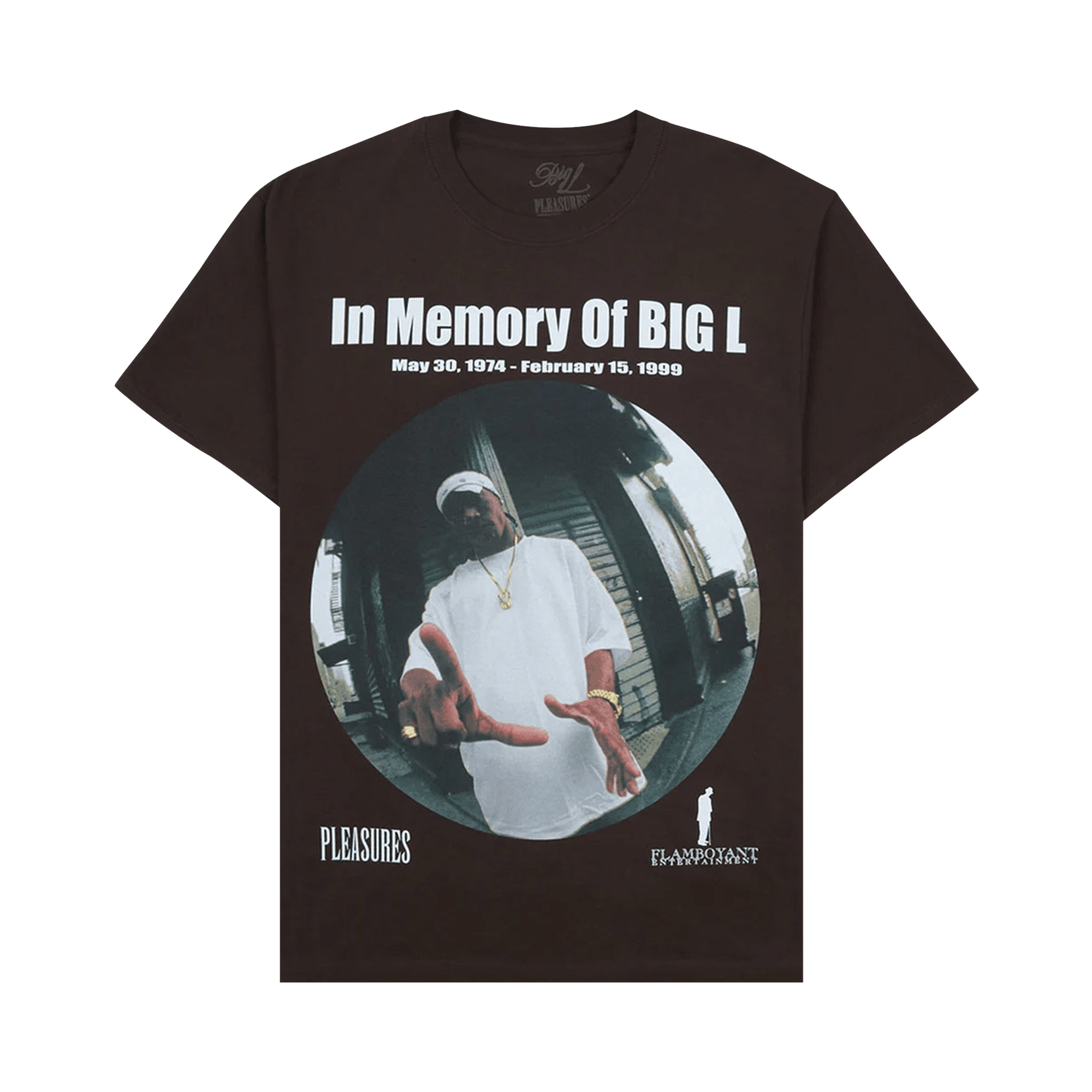 Pleasures In Memorty T-Shirt 'Brown'