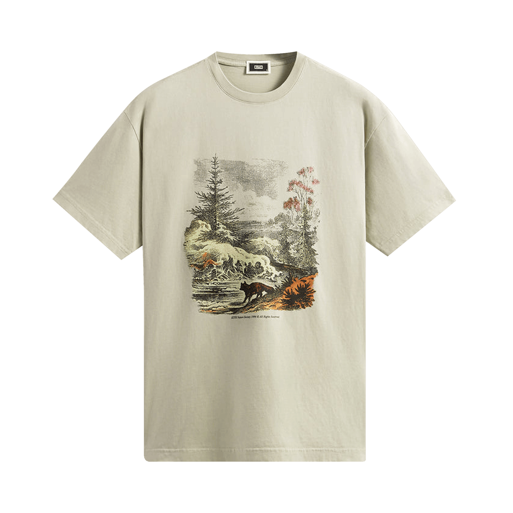 Kith Nature Society Vintage Tee 'Sandrift'