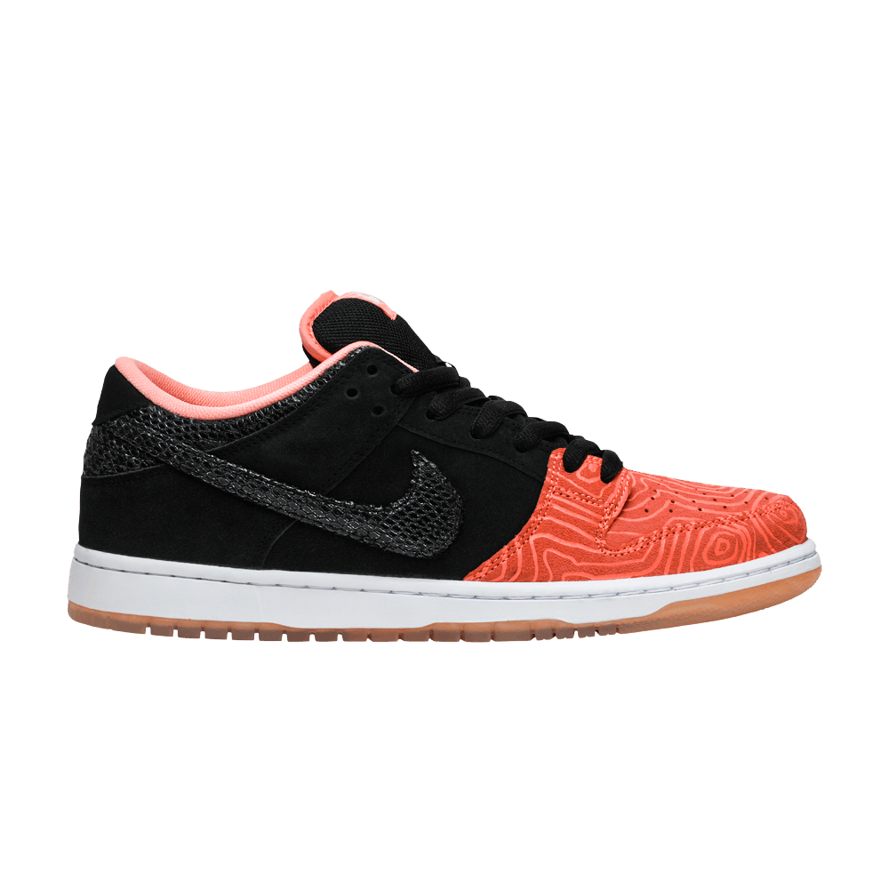 Premier x Nike Dunk Low Pro SB 'Fish Ladder'