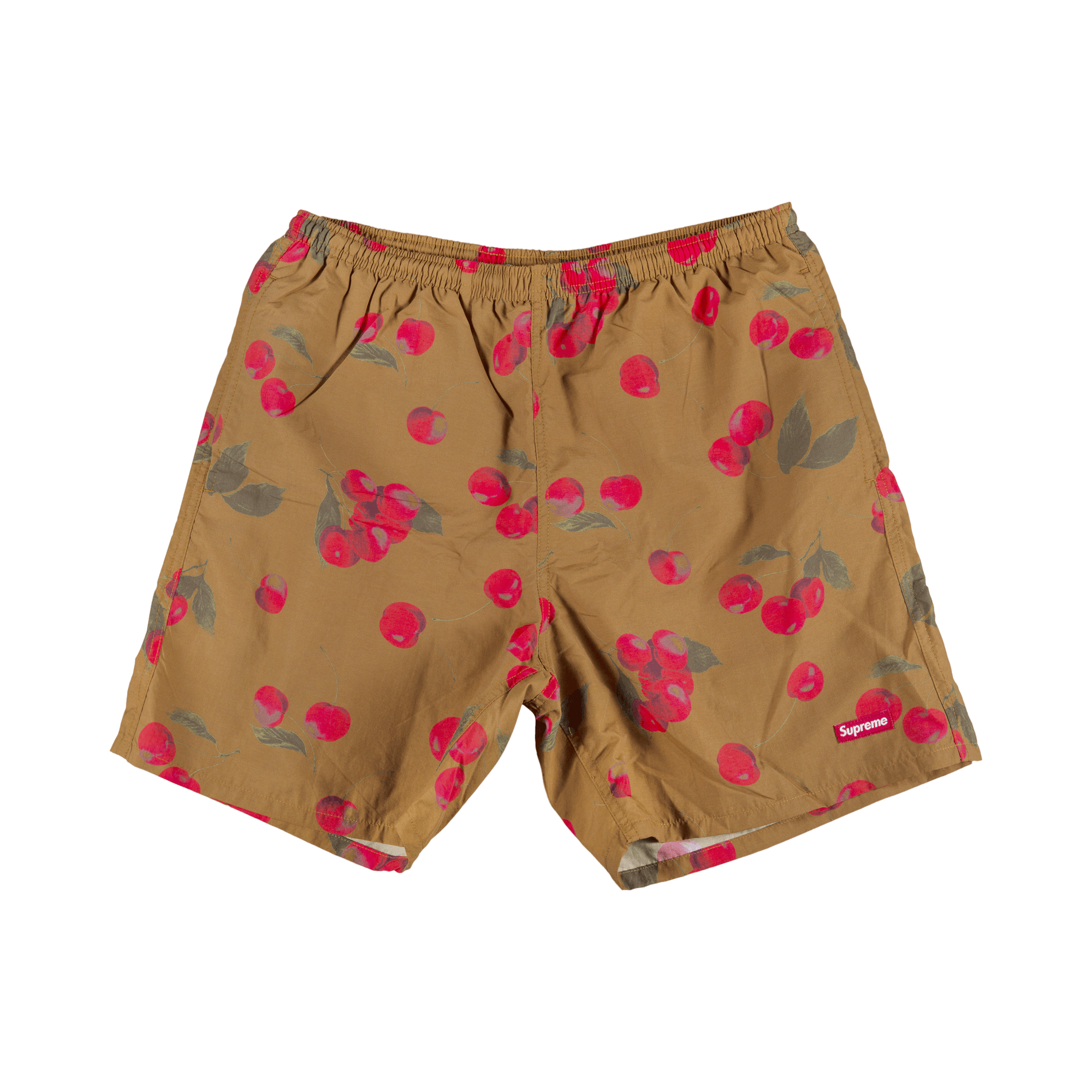 Supreme Nylon Water Short 'Brown'