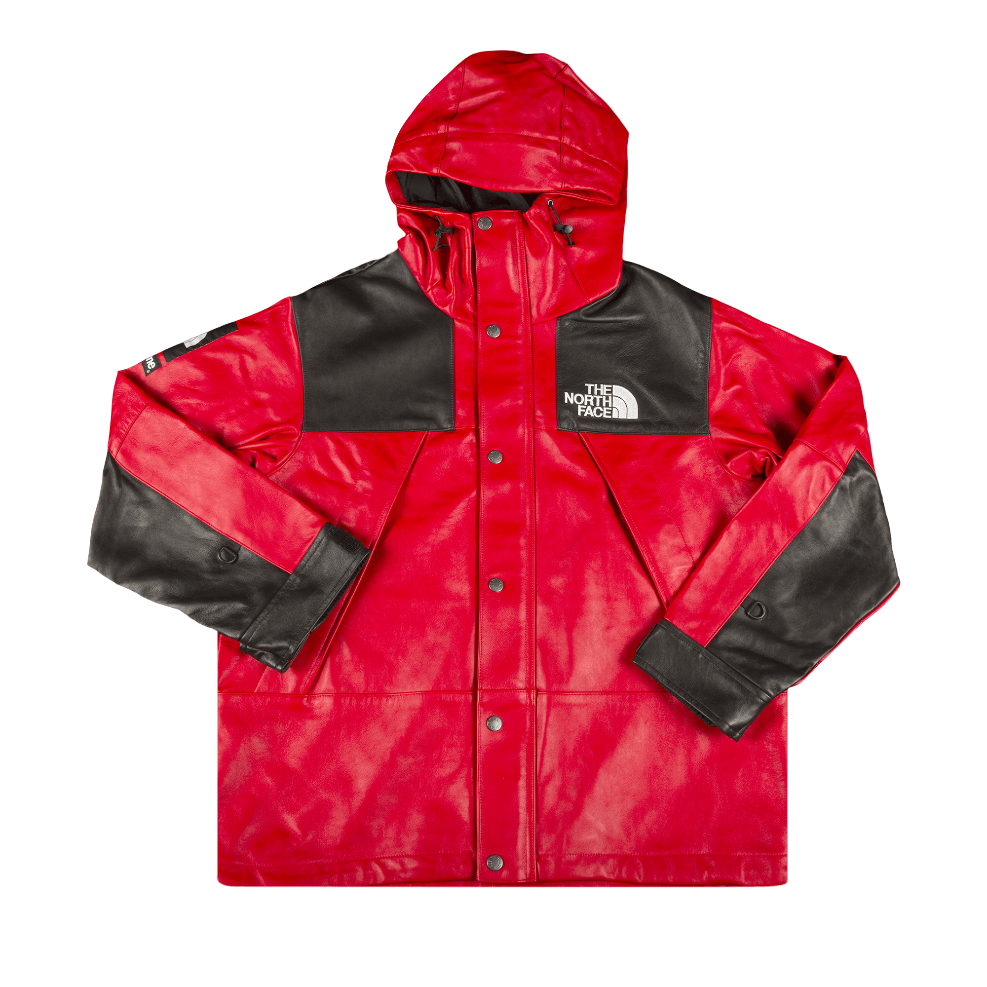 Supreme x The North Face Leather Mountain Parka 'Red'