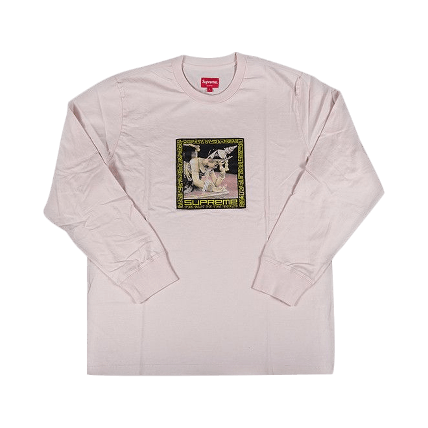 Supreme Best In The World Long-Sleeve T-Shirt 'Pink'