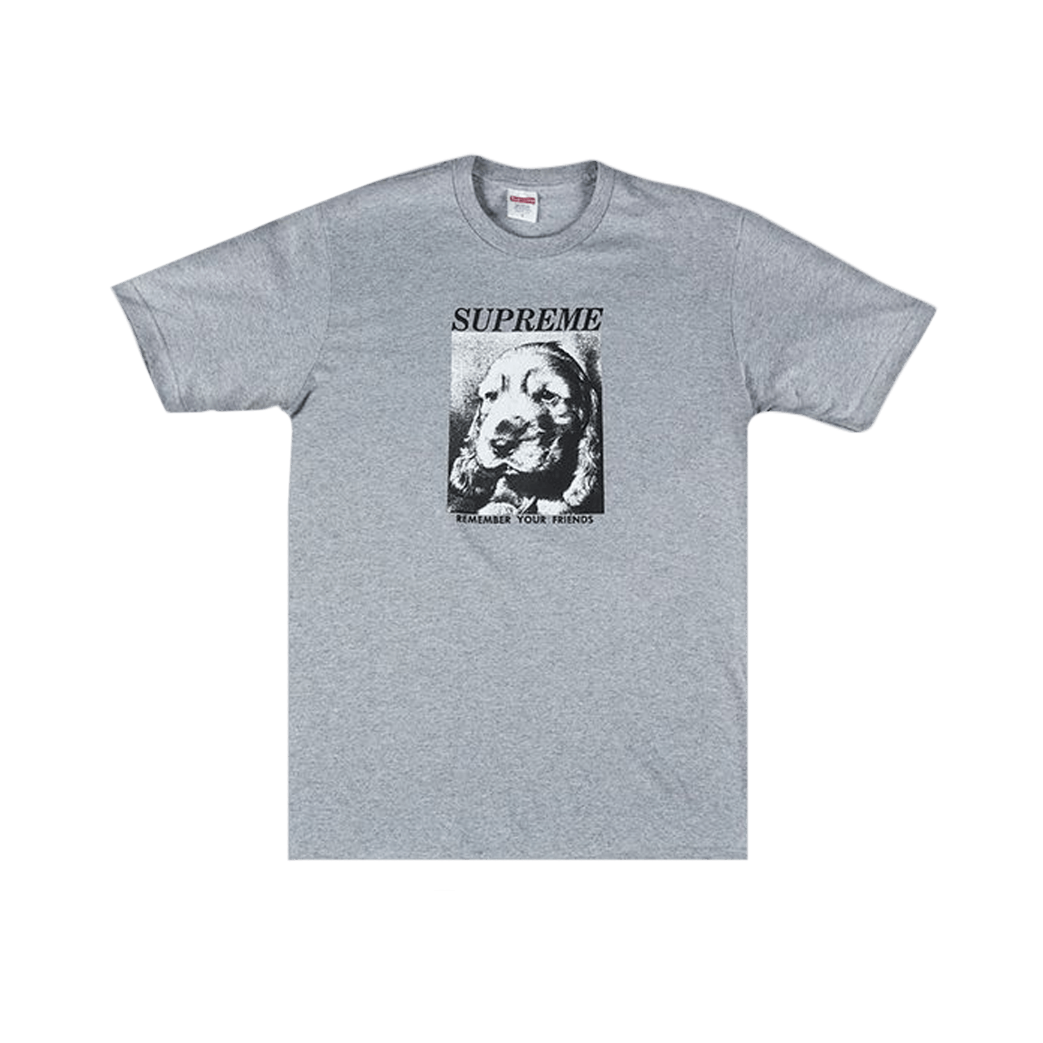 Supreme Remember T-Shirt 'Grey'